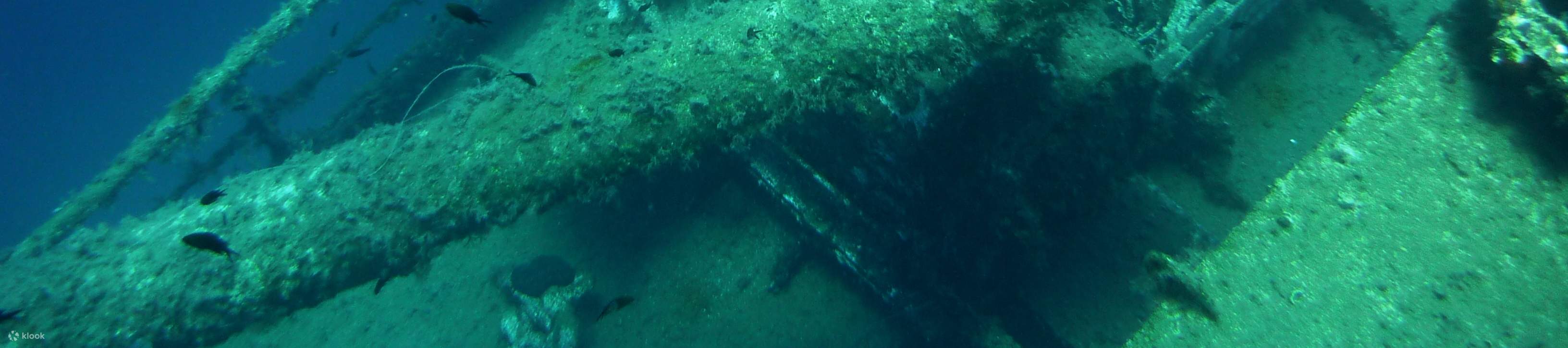 PADI進階開放水域潛水員【線上學習】